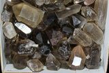 Lot: Lbs Smoky Quartz Crystals (-) - Brazil #77843-3
